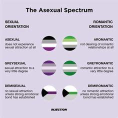 aromantic asexual test|Arospec Orientation Quiz